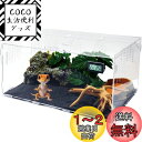 Niesporek 爬虫類 トカゲ ケージ カナヘビ飼育ケース レプタイルボックス 温度湿度計付き 飼育容器アクリル 給餌箱 透明 通気ケージ 昆虫飼育ケース ...
