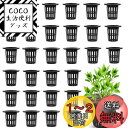 LEACAGR 水耕栽培鉢 30個セット 定植かご プラスチックメッシュポット 植物育成カップ 水耕栽培ポット 園芸 庭園 ガーデンニング 苗運搬 植物栽培 有機栽培 水培養 定植育苗かご (ブラック)