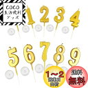 KALOLINNA バースデーナンバーキャンドル 0〜9 10点セット ロウソク 数字 誕生日を祝う 高級 ろうそく おしゃれ スタイリッシ 記念日キャンドルウ...
