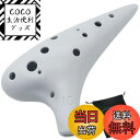 【送料無料】Aestivate Plastic Ocarina オカリナ 楽器 12穴 アルトC調 プラスチック AC Ocarina 吹奏管 樹脂(ホワイト)
