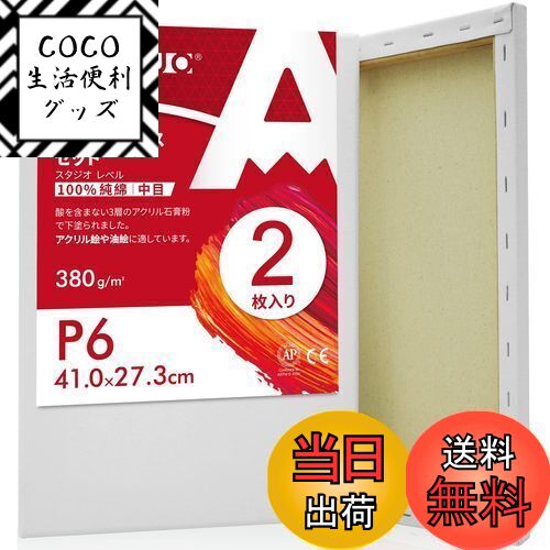 【送料無料】AUREUO 張りキャンバス セット P6 (41cmX27.3cm) 中目 100%コットン 2枚 初心者 絵画用具 芸術絵創作 現代油絵 美術装...