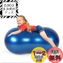 MICHEALWU ピーナッツ型 ヨガ バランスボール エクササイズボール ピーナッツボール ジム リハビリ ダイエット フィットネス 空気入れ付き 初心者 子供 年上 犬 自宅