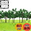 【送料無料】情景コレクション 樹木 モデルツリー ツリー模型 5cm 1:25~1:300 N HOゲージ用 40本 風景 ..