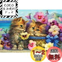 DIYクロスステッチキットダイヤモンド絵画5D塗装キット、素敵な猫の子猫の花WOWDECORフルドリルDIYダイヤモンドアートペイント数字油絵 (ネコ)