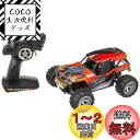 RC1/16スケール マッドスタイルシリーズ リザード