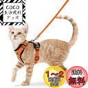 Rabbitgoo 猫 ハーネス リード セット 犬猫兼用 超小型犬 小型犬 抜けない ソフト胸あて 軽量 足を上げず装着完成 サイズ調節可 夜反射 通気メッシ...