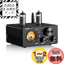 AIYIMA T9 Bluetooth 5.0 100W*2チューブアンプ 2.0チャンネル 真空管 USB DACステレオHiFiホームオーディオデジタルアンプ RCA/COA/Opt/PC-USB、VUメータ付き