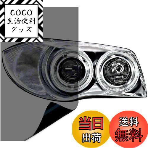 【送料無料】サムコス ヘッドライトフィルム アイラインフィルム 車 シールタイプ 30x120cm  ...