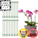 Coollooda 園芸支柱【20本組セット】観葉支柱 植物支柱 花ささえ 観葉植物 支柱棚 花支え ガーデニング 柱 植物サポート ガーデニング 家庭菜園 農...