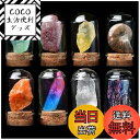 【送料無料】HIGHAWK岩石標本 天然石 ガラスカバー 鉱石 防塵 置物 オーナメント 展示 標本ボックス コレクション 地質科学 装飾品 小物(8セットC)