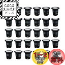 GOODCHI 水耕栽培鉢 定植かご プラスチックメッシュポット 水耕栽培ポット 園芸 庭園 ガーデンニング 植物栽培 有機栽培 水培養 スポンジ付き 水培養 花盆 定植育苗かご 30個セット