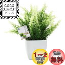TOSSOW 人工観葉植物 造花 フェイクグリーン フェイク観葉植物 四方鉢 インテリア プレゼント 浅緑葉