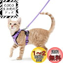 Rabbitgoo 猫 ハーネス リード セット 抜けない ソフト胸あて 軽量 超小型犬 小型犬 猫 散歩 用 ハーネス 胴輪 足を上げず装着完成 サイズ調節可...