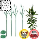 【Charming Club】園芸支柱 モンステラ 支柱 観葉植物 植物サポート モンステラフラワースタンド 花支架 ガーデニング支柱 長期間使用 農業用 園芸...