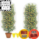 【送料無料】防虫ネット 植物保護カバー 2個セット 保護カバー 防鳥ネット メッシュ巾着式 虫鳥除け網 通気性 引き紐付き 園芸用ネット 植物保護カバー 鳥害対...