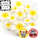 Yesallwas ヘア クリップ ピン プルメリア 造花 7cm 20個セット 花のみ 白 ヘア クリップ ピン プルメリア 髪飾り お花 DIY手作業 結婚...