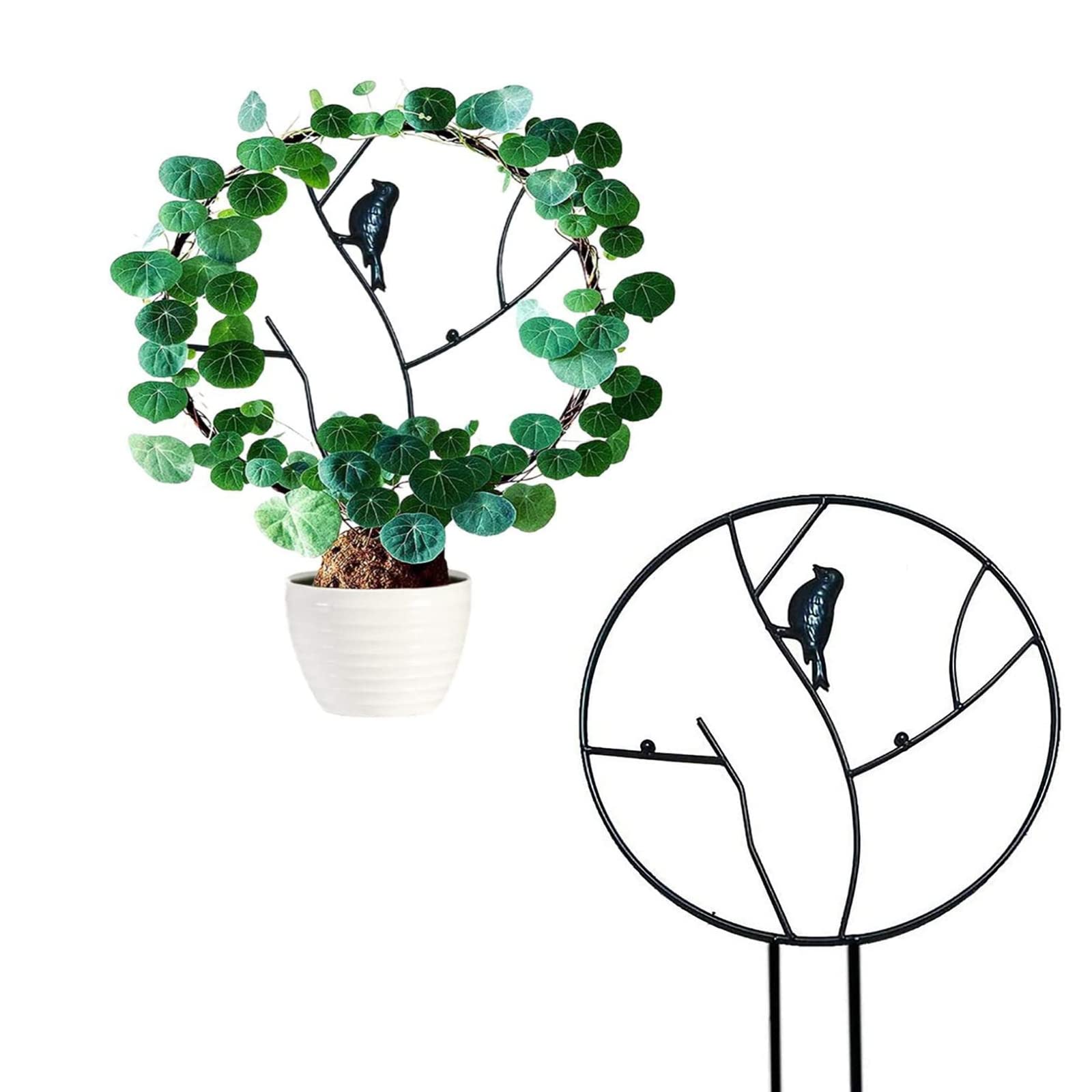 【送料無料】Vanow 園芸支柱 支柱パーツ つる植物 支柱 植物支柱 植物サポート 花ささえ つる性植物 部..