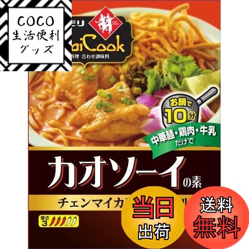 【送料無料】ヤマモリ タイクックカオソーイの素 110g