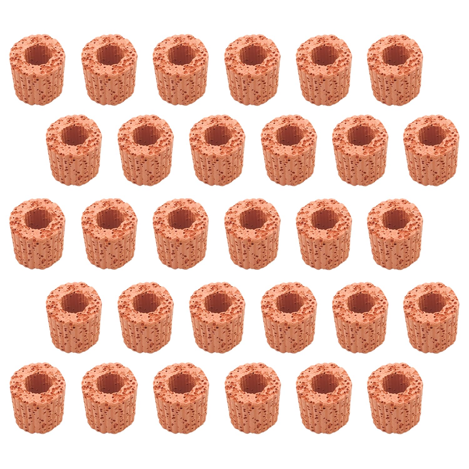 【送料無料】RedBeryl 水草固定リング マルチリング 水槽 栽培 水生植物 アクアリウム