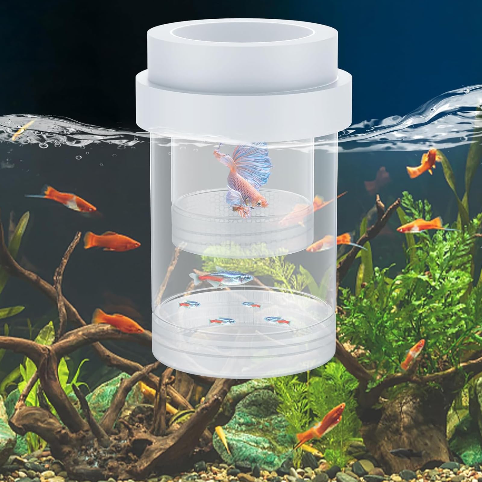 【送料無料】Hitasi 水槽 隔離ケース 産卵ケース 浮遊魚 繁殖ボックス 透明 飼育ボックス メダカ 隔離..