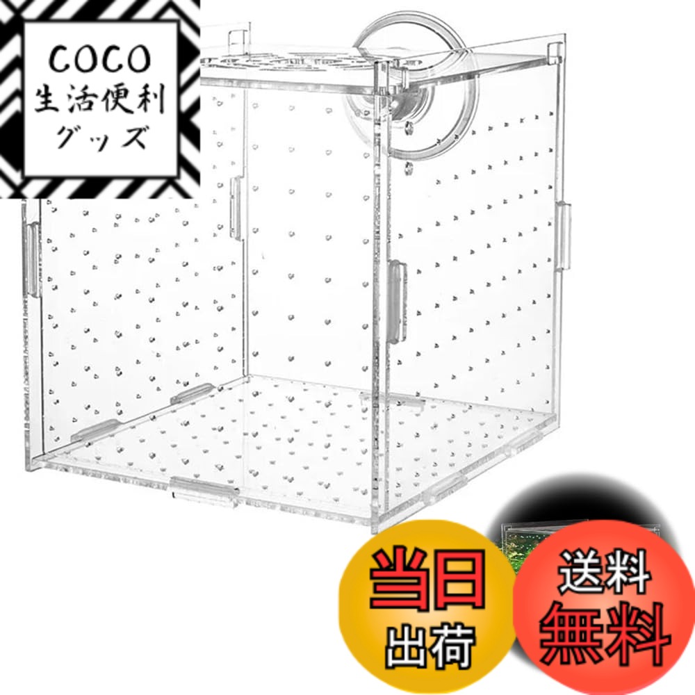 【送料無料】SSZYMAOYI 稚魚 繁殖隔離ボックス 透明 アクリル 10x10x10cm 吸盤付き 水槽 隔離ケース 産..