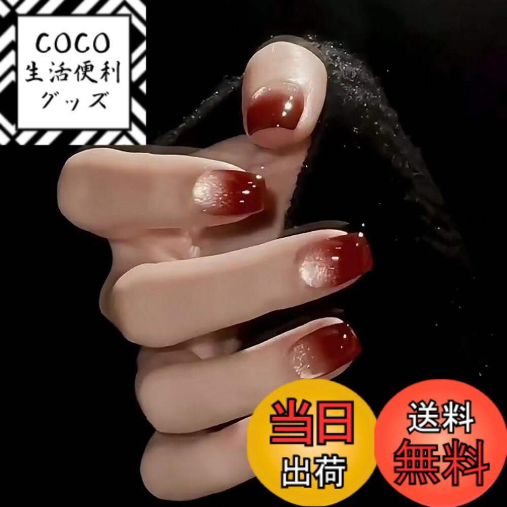 【送料無料】ネイルチップ ショート つけ爪 おしゃれ 短めネイルチップ 24枚入 人気 かわいい つけ爪 春秋ネイル 偽の爪 シンプル ネイルシール ネイルアート DIYネイル 花嫁ネイル 大人 両面テープ付き 付け方簡単 初心者向け 成人式 入学式 色：タイプ2、サイズ：Free