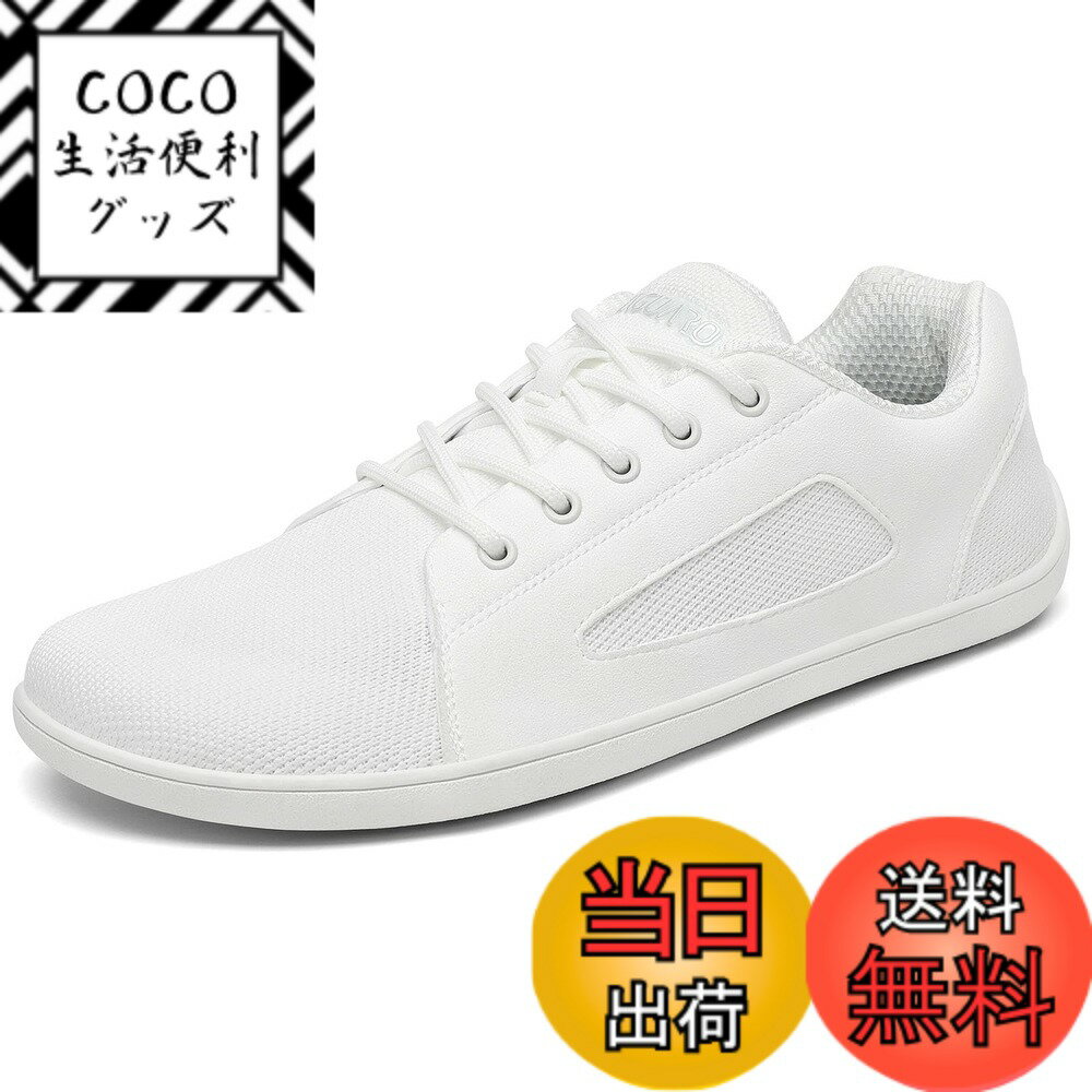 ������̵����[SAGUARO] �٥��եåȥ��ˡ����� ���� ��� ��ǥ����� ���� �����ɥ��åץ��塼�� �̵� �ե��åȥͥ����塼�� ���� ����ȥ� �����ԥ�...