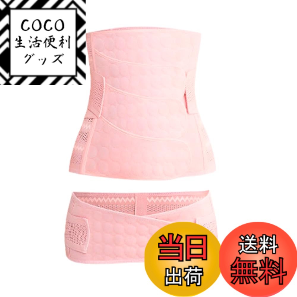 ������̵����[Tropchou] ���٥�� ���ץ٥�� ���륻�å� �� ���� ��ʢ ���� ���ݡ����� ���֥륵�ݡ��� 2�����å� �����ԥ󥯡���������M