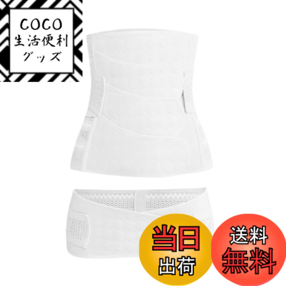 ������̵����[Tropchou] ���٥�� ���ץ٥�� ���륻�å� �� ���� ��ʢ ���� ���ݡ����� ���֥륵�ݡ��� 2�����å� �����ۥ磻�ȡ���������XL