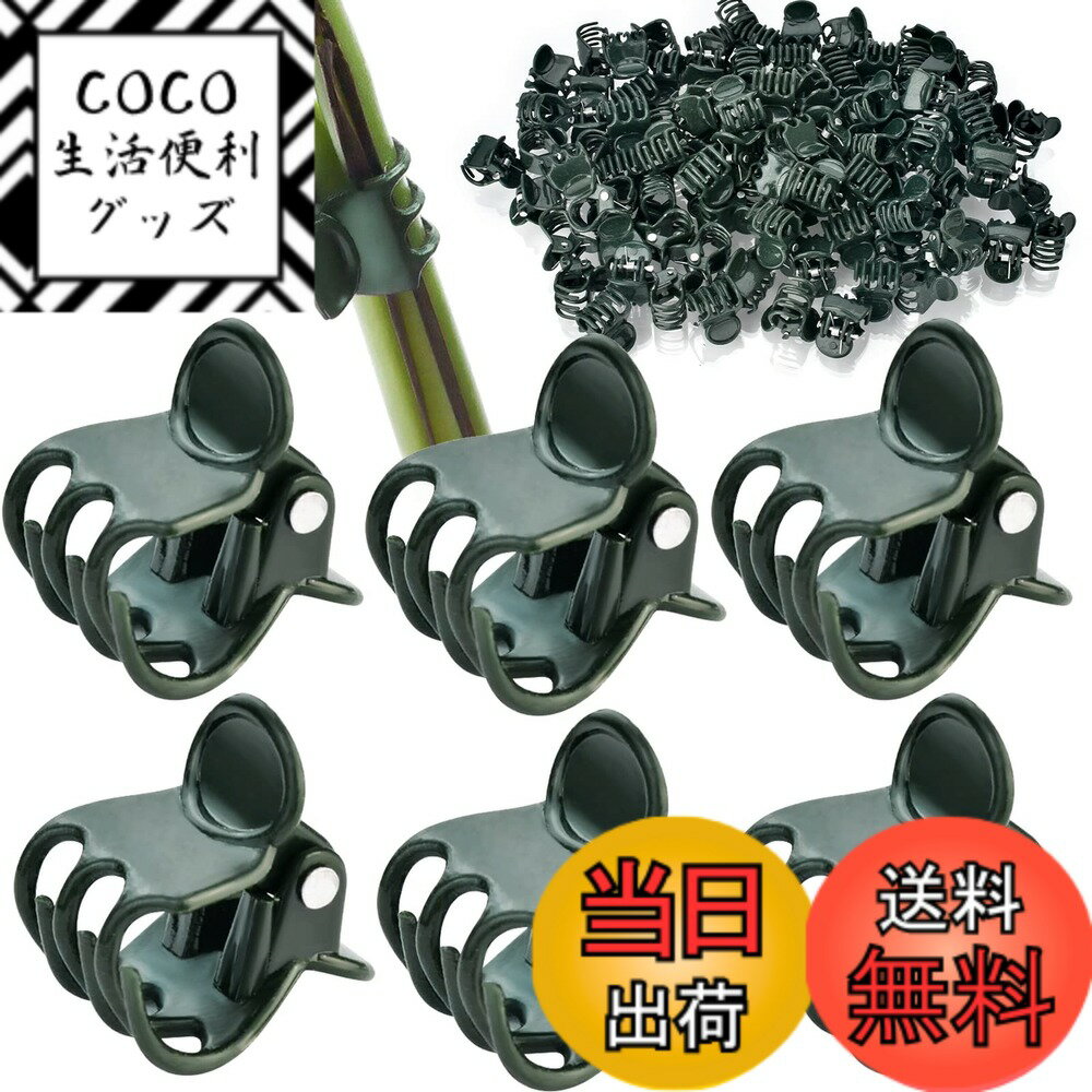 【送料無料】AccEncyc 植物クリップ 蘭クリップ 植物 蘭 サポートクリップ 花つるクリップ  ...