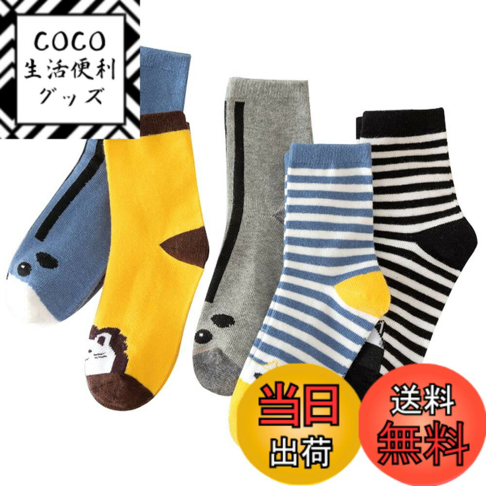 ������̵����[eigenn] ���å� ���� ���å��� �ˤλ� �ܡ����� 5­���å� ���λ� �Ҷ��ѷ��� ���ݡ��� ���Ĥ��� �̱� �̳� ���餫 �� �˽����� ��...