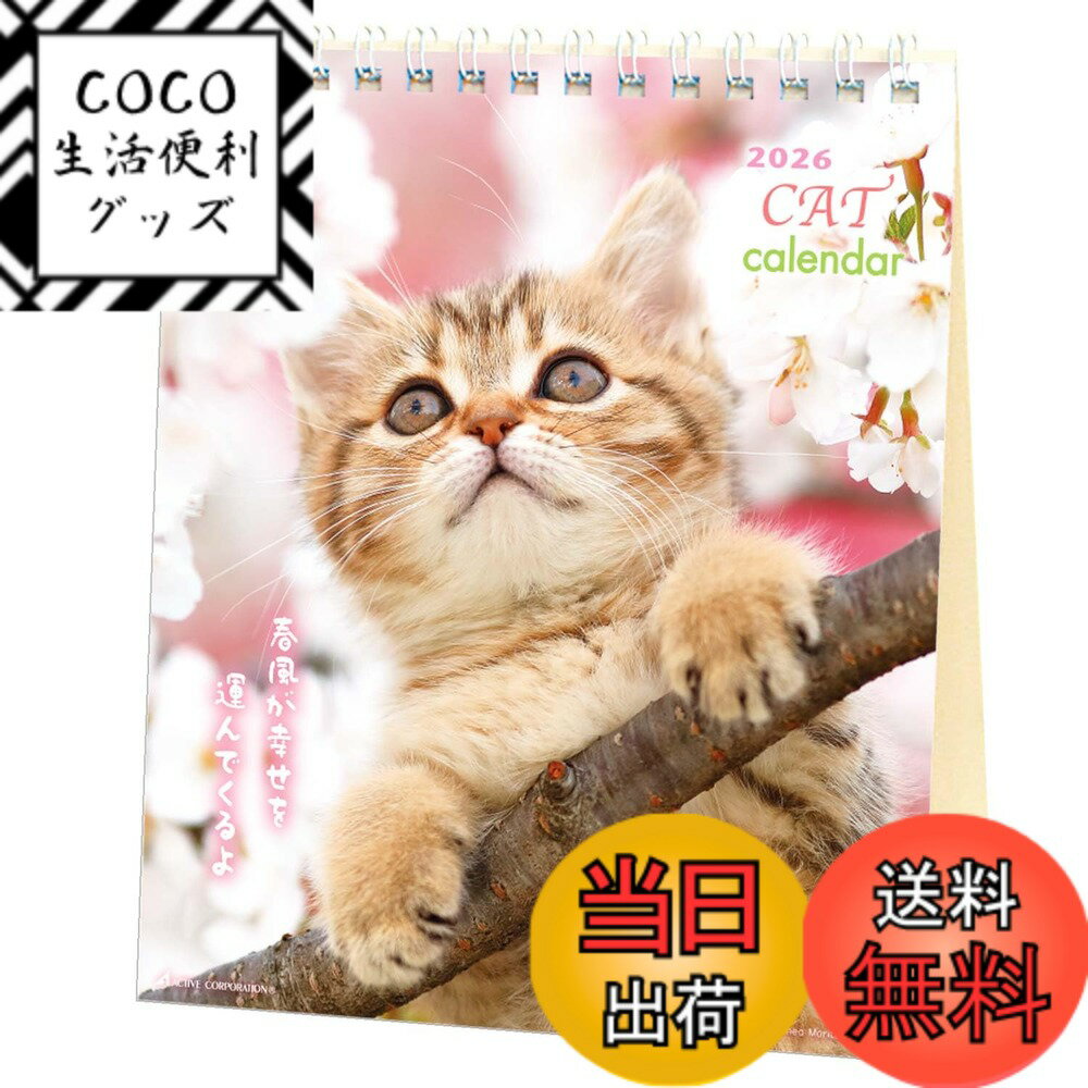 【送料無料】アクティブコーポレーション 2026 カレンダー 卓上 リトルキャット 26ACL-537 2026年 1月..