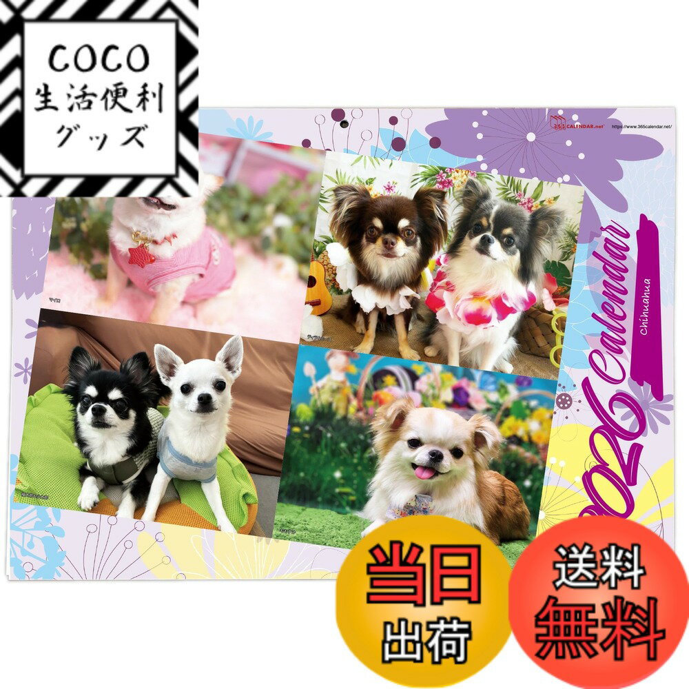 【送料無料】365カレンダー 2026年 チワワ 壁掛け 卓上カレンダー付き 2026-007 色：パープル