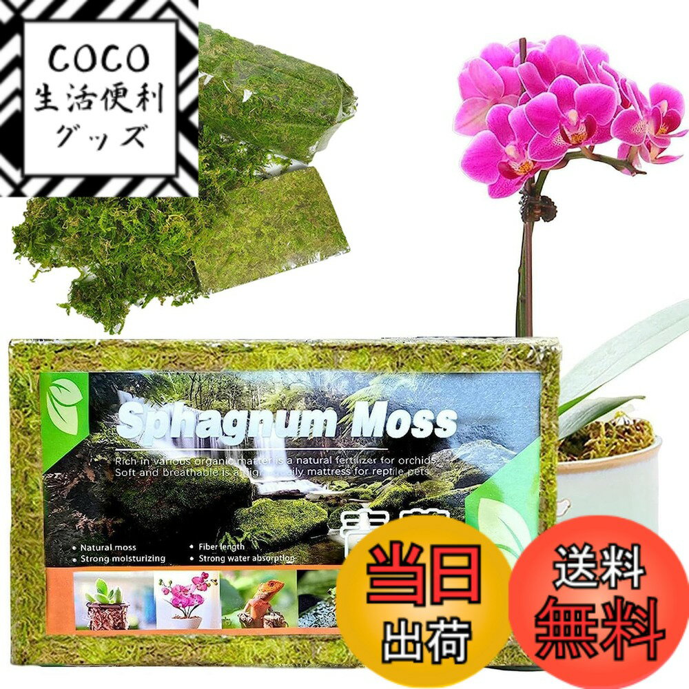 【送料無料】Meltryllis 天然水苔 圧縮水苔 ミズゴケ (約150g) 鉢植え土壌 園芸用 培養土 植物の成長培..