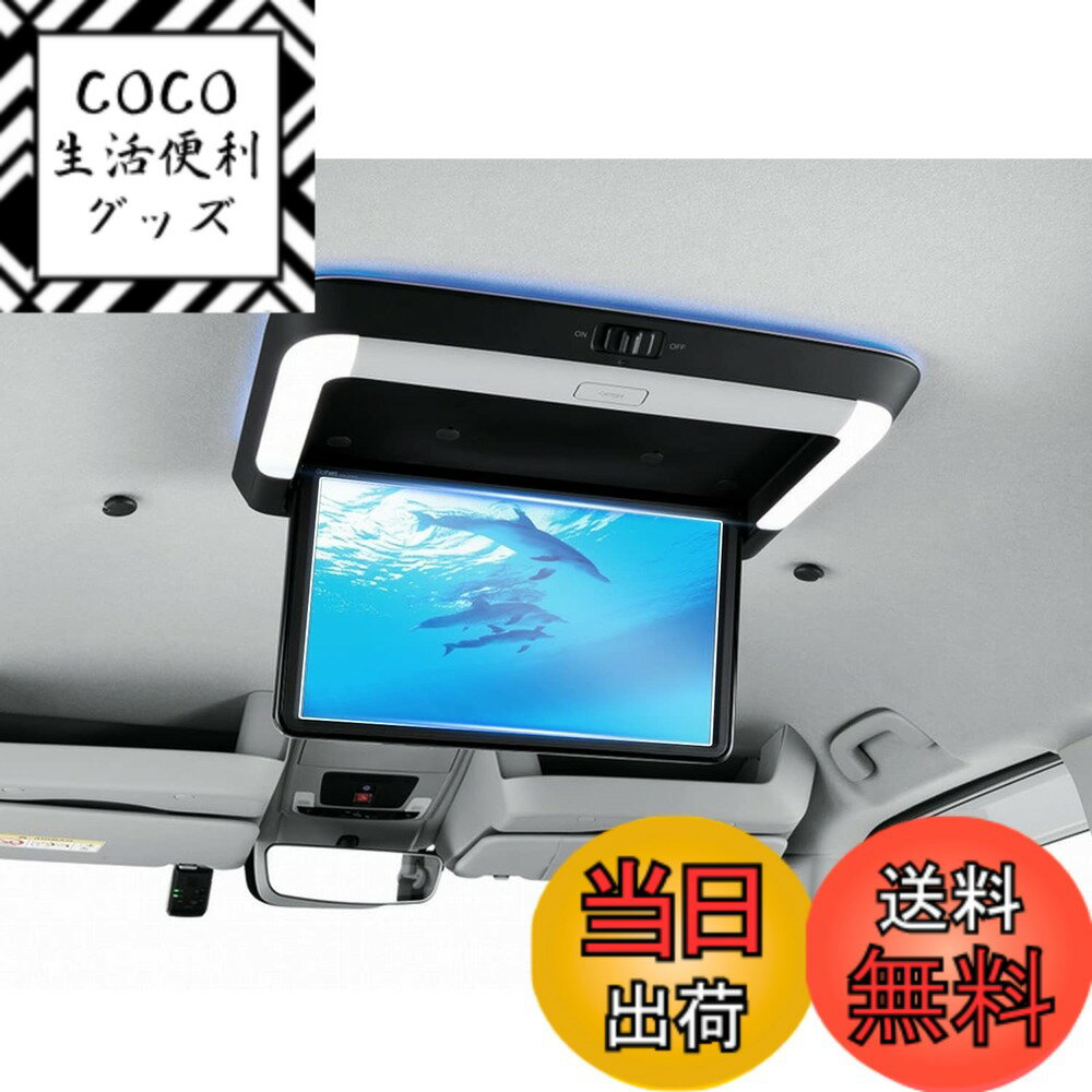 【送料無料】ruiya S G O S N 保護フィルム 専用 車 4H 汚れ防止 フィルム 保護フ ...
