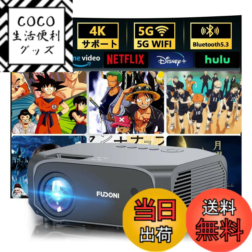 【送料無料】【最新家庭用24000LM＆100