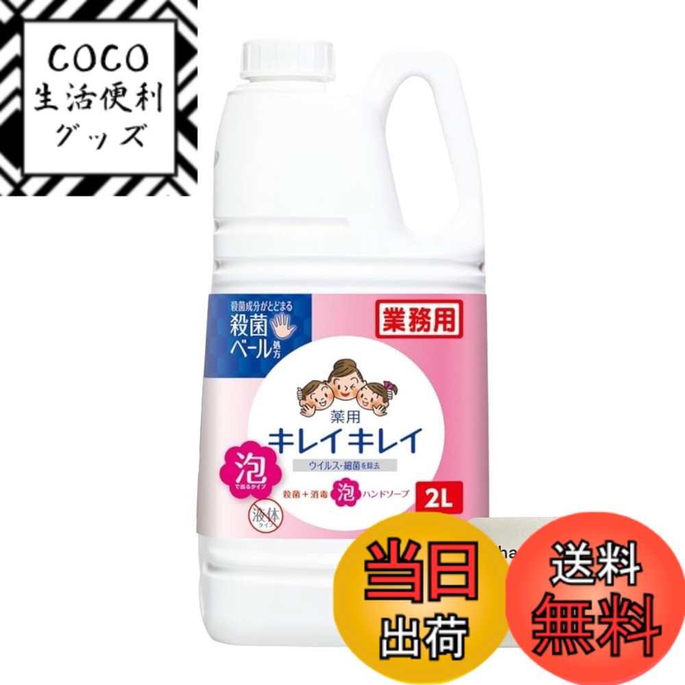 【送料無料】ライオン キレイキレイ 薬用 ハンドソープ シトラスフルーティの香り 医薬部外品 業務用 ...