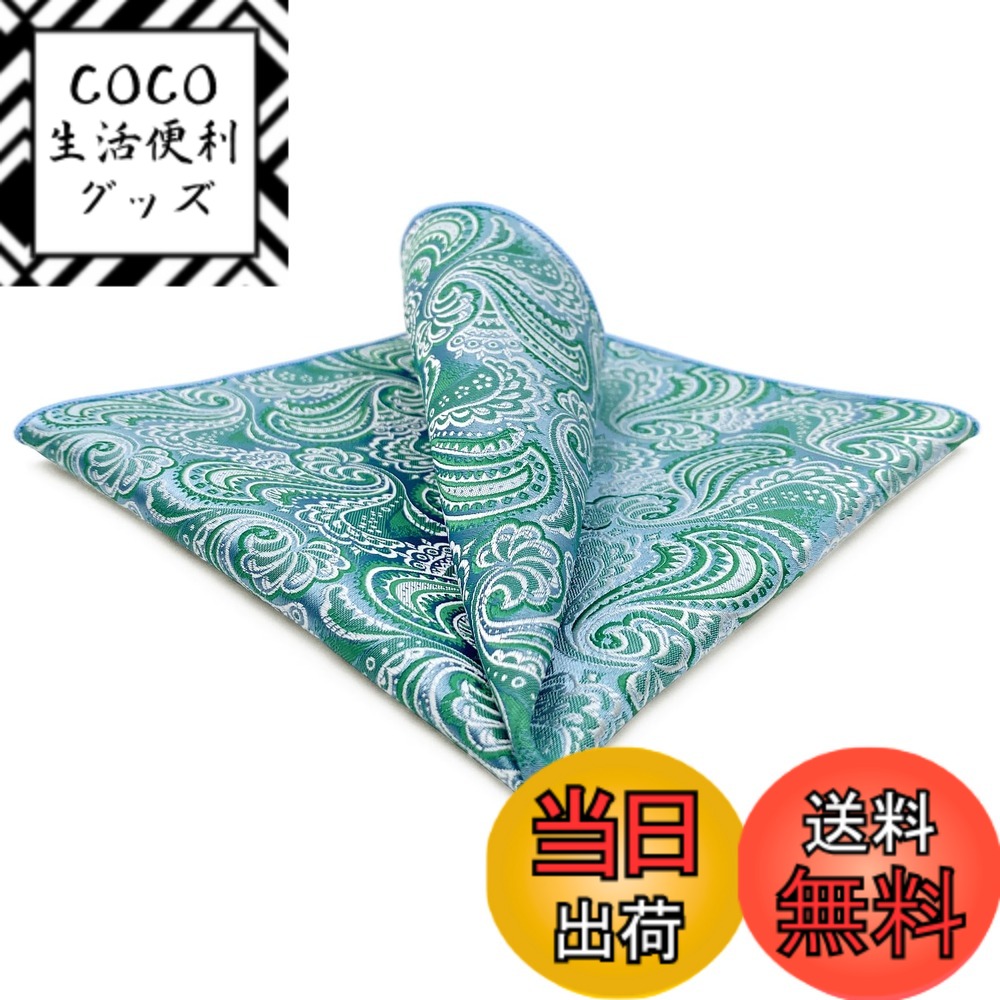 【送料無料】[S&W SHLAX&WING] メンズ ポケットチーフ アソート ペイズリー スーツ ジャケット ビジネス XL 色：BH61、サイズ：BH61