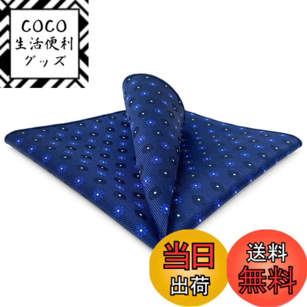 【送料無料】[S&W SHLAX&WING] メンズ ポケットチーフ 柄 ブルー レッド 32cm 大きくて背が高い ウェディング 色：BH56、サイズ：BH56