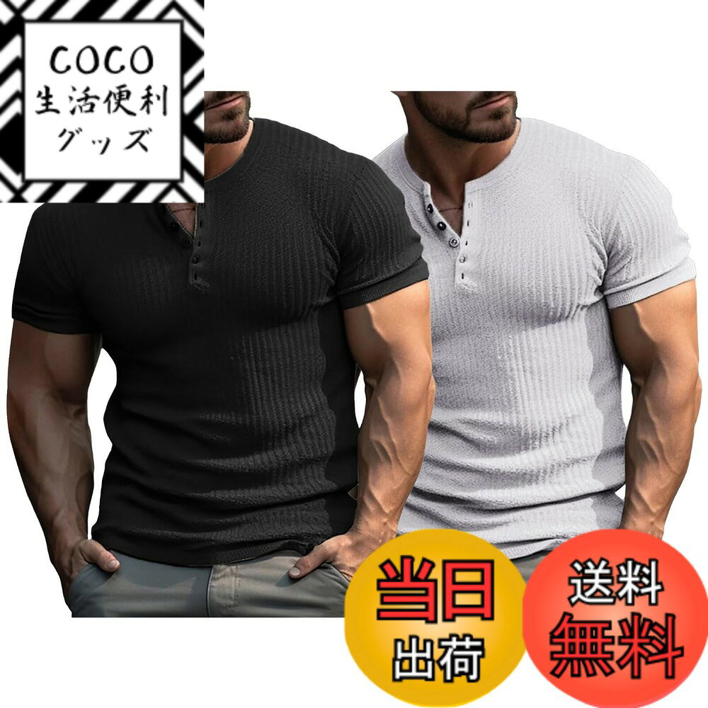 ������̵����[NARROE] ���ޡ��˥å� Ⱦµ �ɥ饤 t����� ������ƥ쥳V�ͥå����åȥ��� ̵�� �ݥ������ ������� �ٿ� �ԥå��� ���ȥ�å� ��...