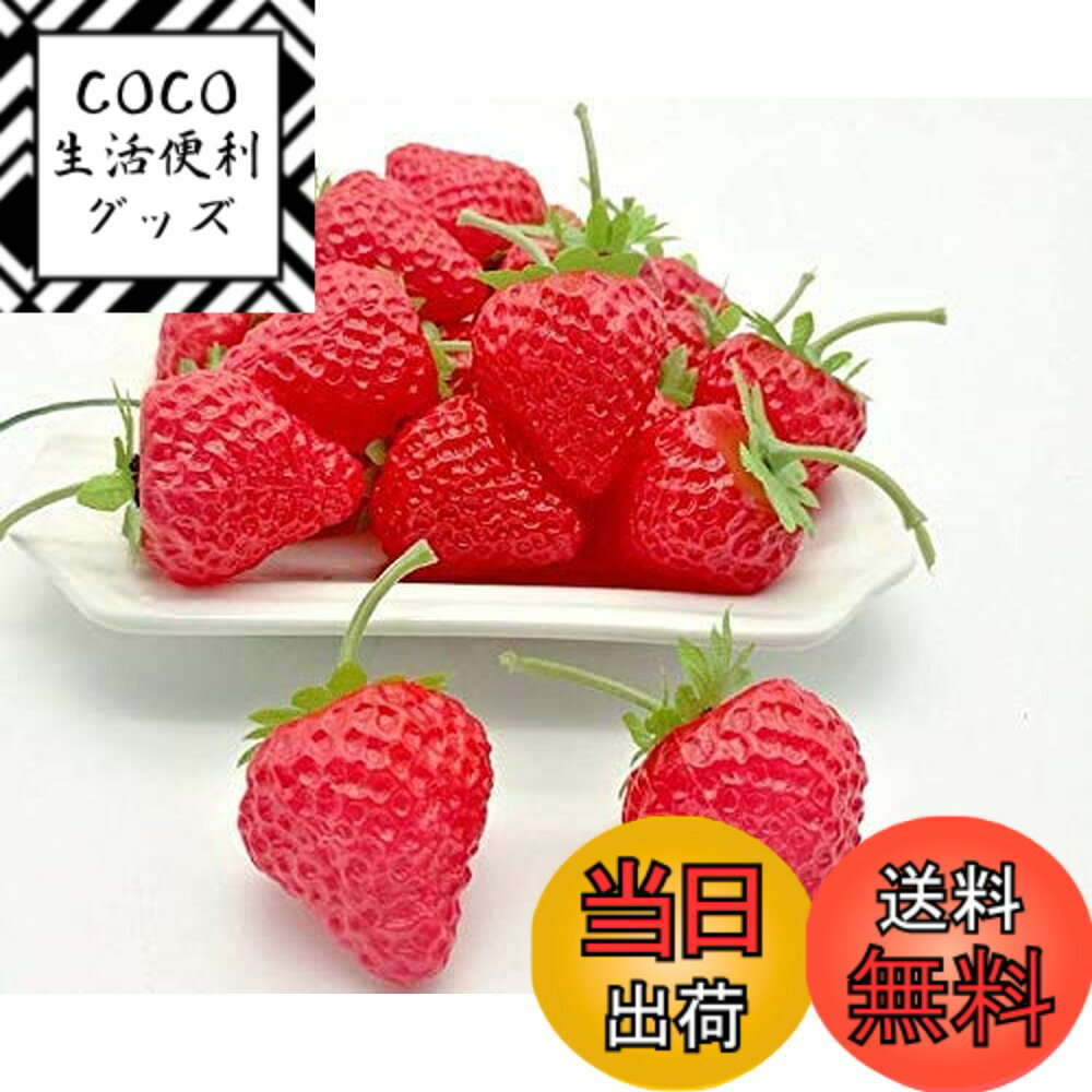 【送料無料】Adadoo ヘタ付き イチゴ 20個セット 本物そっくり 食品サンプル 果物 ケーキ屋 ...