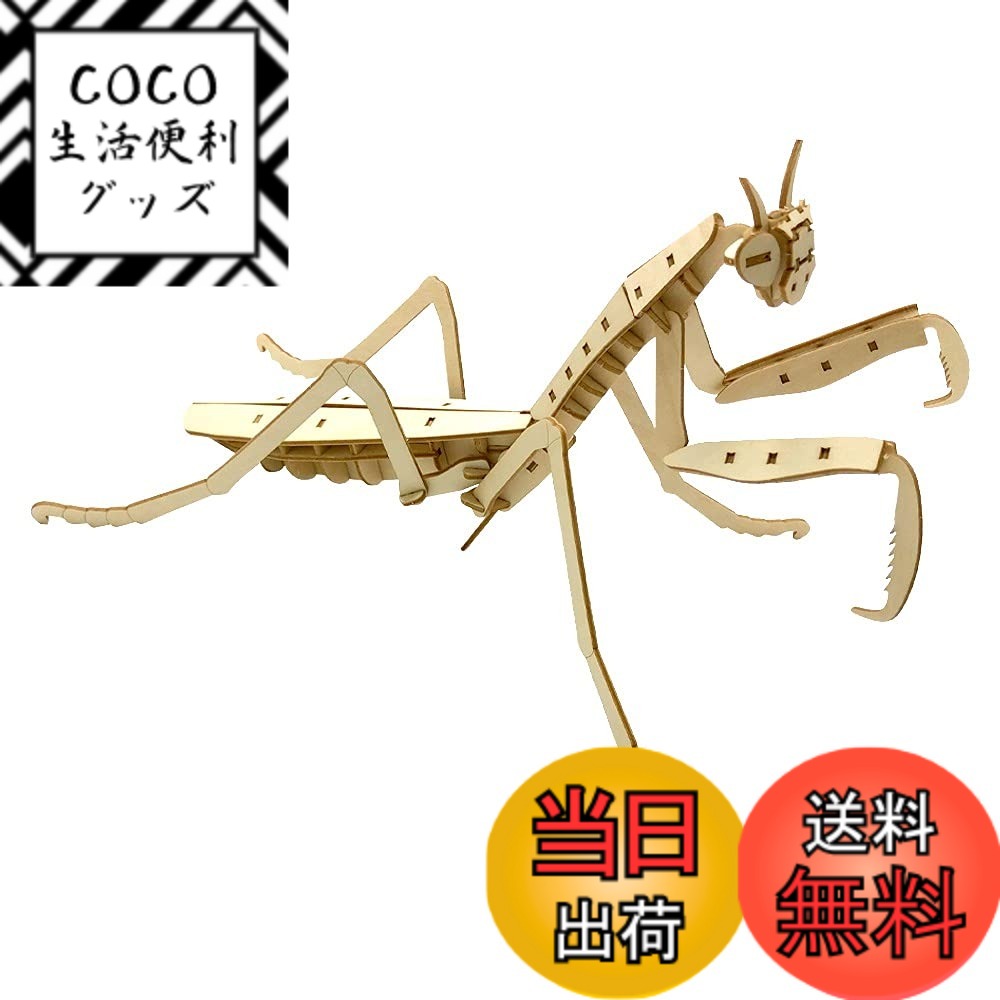 ������̵���ۤĤ����Ǥ� ���ܸ��������� �ݥ��åȥХ���