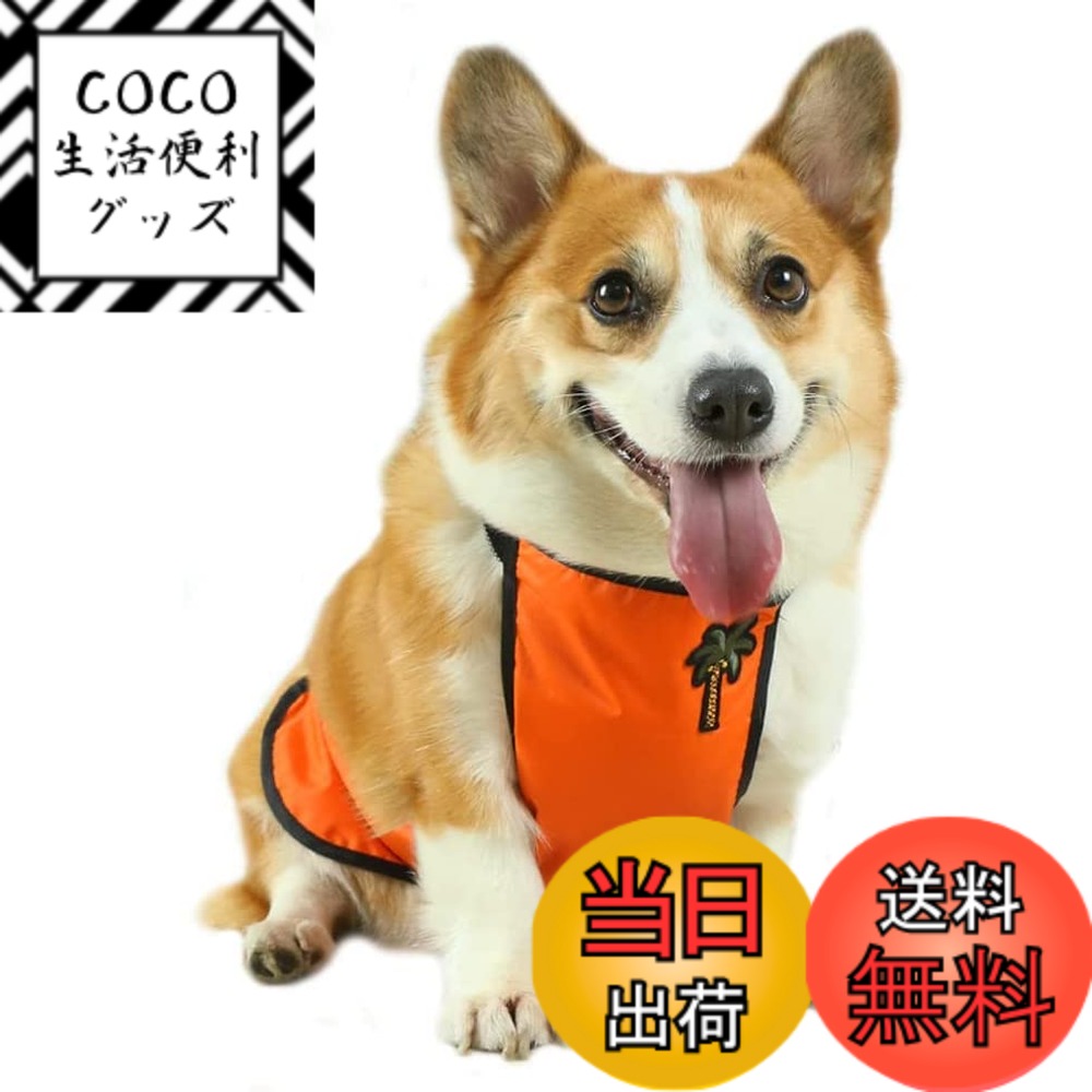 ������̵���۸� ���ץ��� ť�褱 ���淿���� �쥤�󥨥ץ��� �쥤�󥳡��� �ɥå������� ��ʢ���ץ��� ť���� �ɿ� �̵��� �İ��� �������� �Ƹ� �ե�����...