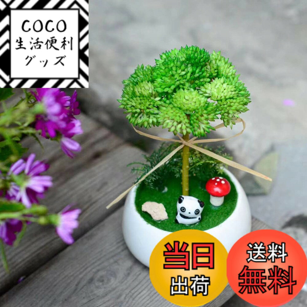 【送料無料】ミニ観葉植物 フェイクグリーン光触媒 人工観葉植物 パンダ 招き猫 飾り 消臭 抗菌 卓上 かわいい インテリア フェイク おしゃれ 造花 (パンダ-A) 色：パンダ-A、サイズ：小尺寸
