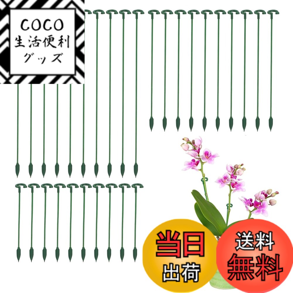 商品情報商品の説明製品仕様： トップのモノリスリングは、植物をしっかり支えて集めることができ、散乱や転倒を防ぐことができます。 中支持部は曲がりにくく、しっかりと立てられ、耐久性がある。 下支え部は、茎やつるを痛めない構造です。 植物の支柱はとても簡単に組み立てられます。 組み立ては、植物を中心にして適切な位置に調整し、その底を土に差し込むだけです。 植物の倒伏防止や直立を促し、水平に伸びる植物の蔓延を止めるために使用されます。 小型のモンステラ、アジサイ、ジャスミン、ランやバラ、多肉植物など、茎が小さい花や植物のほとんどに適しています。主な仕様 【製品仕様】材質：PP。サイズ・数量：約17cm/27cm/37cm、合計30個入り。プラントサポート・スティックがあれば、茎の植物は個性的でエレガントに直立します。 植物の茎をリングの中に入れ、適切な場所を見つけ、ステイクを土に差し込むだけです！【自然な観葉支柱】緑の滑らかな表面により、自然に植物に溶け込むことができます。植物の造形に適用します、植物をまっすぐ健康に成長させるために支え、枝やつるが広がったり落ちたりするのを防ぐことができる植物支柱です。【実用的なガーデニング支柱】このフラワー支柱は変形しにくく、頑丈でしっかりしており、植物をしっかり支えて保護できる観葉支柱です。また耐候性、防錆性、再利用性があり、木材よりも長寿命です。【多用途】この植物サポートは、蘭、牡丹、紫陽花、ピーマン、トマト、一輪草など、花や野菜を保持するのに最適です！ 鉢植えだけでなく、庭の植物にも適しています。 植物を直立させることで、風通しが良くなり、葉が乾燥し、病害虫に強くなります。【簡単・便利な使い方】組み合わせて使用でき、農作物の面積に合わせて自由に選びます。分解して組み立てる必要はありません。ほとんどの茎が入るのに適しており、シングルステークのリングは植物を十分に支えることができますが、その成長を妨げることなくそれに十分なスペースを与えます。