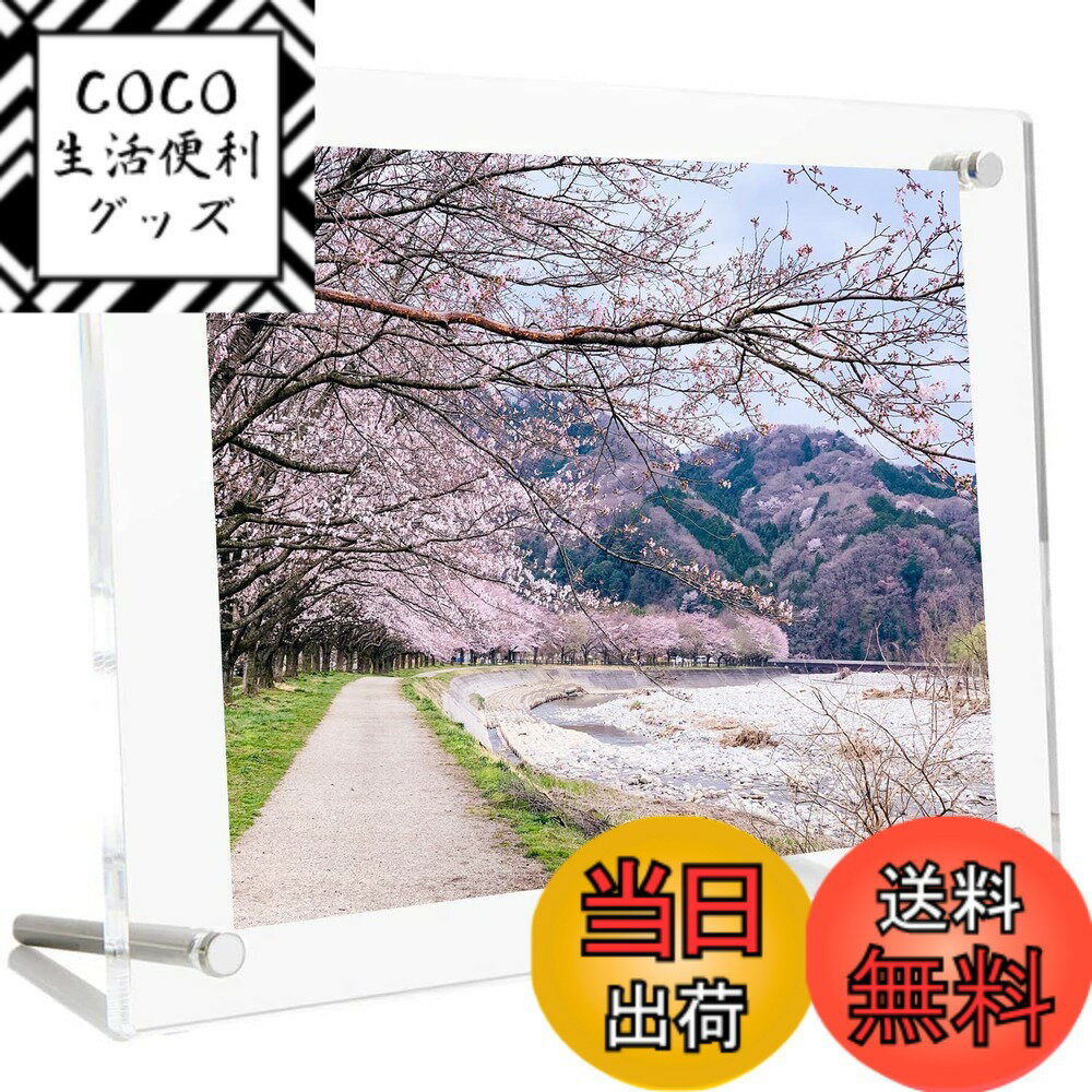 ������̵����Sociplentycom �������ե��ȥե졼�� �������ե졼�� �礭�� �۱� �۱� �̿�Ω�� ���礦�� �̿��ե����� �̿� ������� �ե��ߥ�...