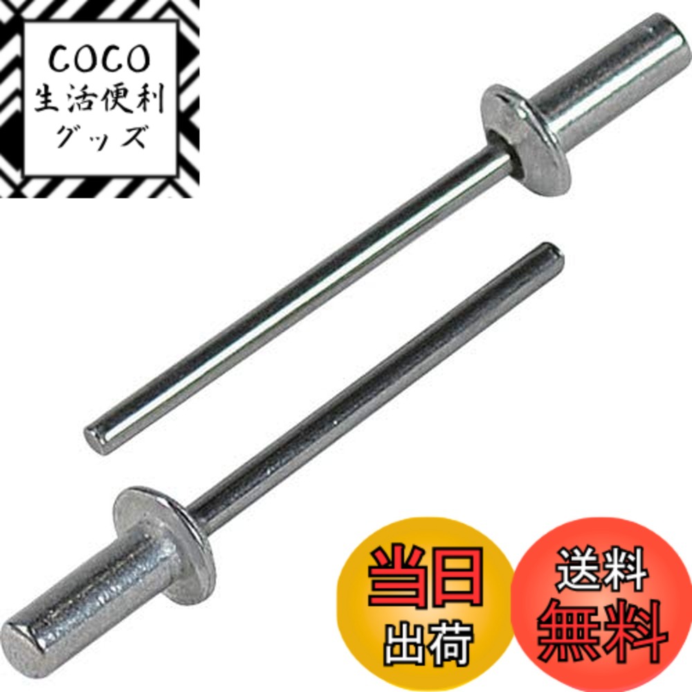 【送料無料】エビ ブラインドリベットシールドタイプ(1000本)アルミ/スティール5-3 NSA53C