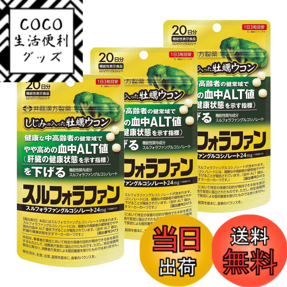【送料無料】井藤漢方製薬 しじみの入った牡蠣ウコン スルフォラファン サイズ：20日分x3個