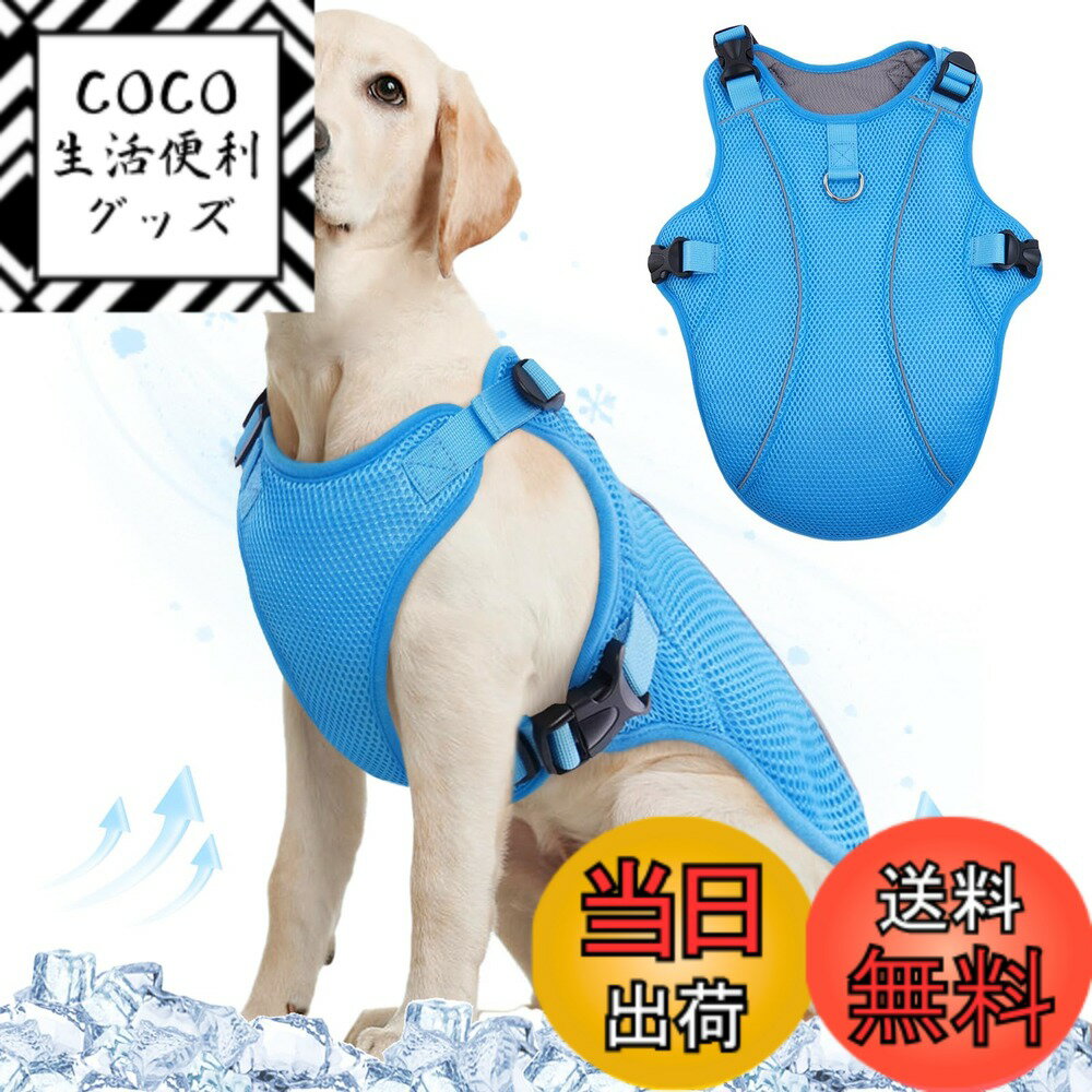 ������̵����Kuoser�����䴶�٥��� ������٥��� ���� �Ҥ���٥��� �ä��� ��ѥ����� Ǯ����к� ���к� ���к� Ĵ���ǽ ��æ��ñ ���Ф��� ������...