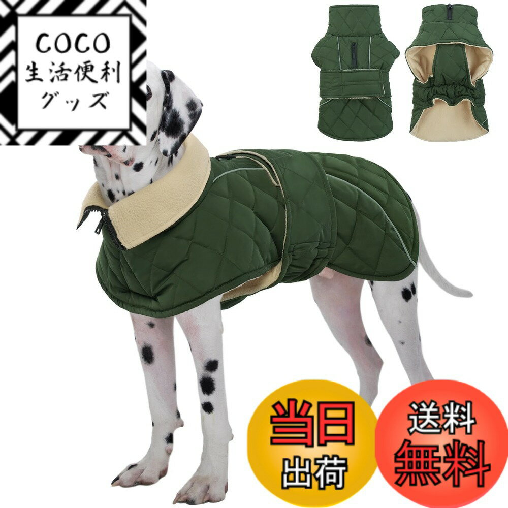 ������̵����Kuoser���� ���ѥ����� ������ �ɴ����㥱�å� �Ȥ����� ������ ���ѥ����ȥ����� �������꡼�󡢥�������4L